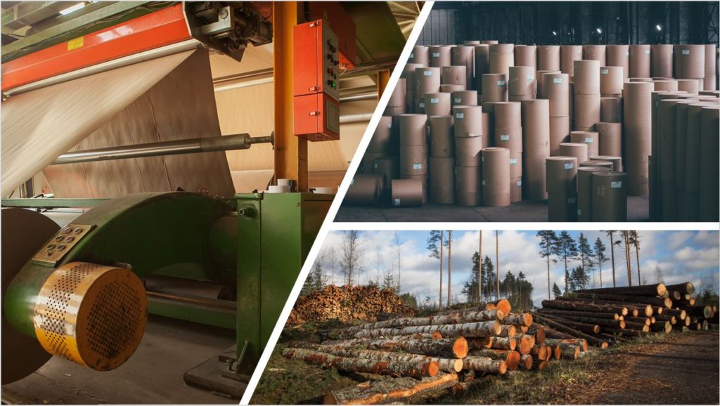Paper and Pulp
